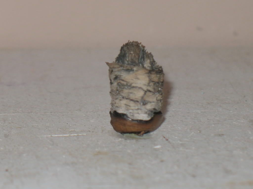 Cigarpics009.jpg