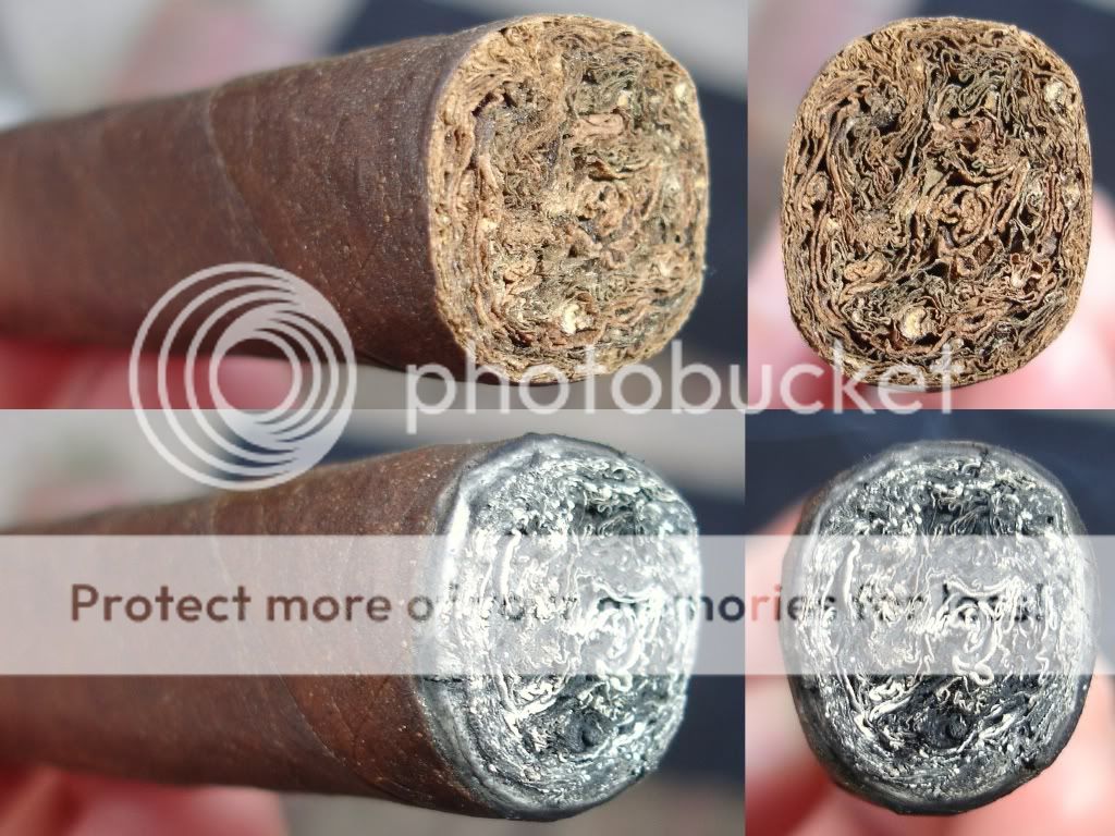 12-06-09Padron26No6002.jpg