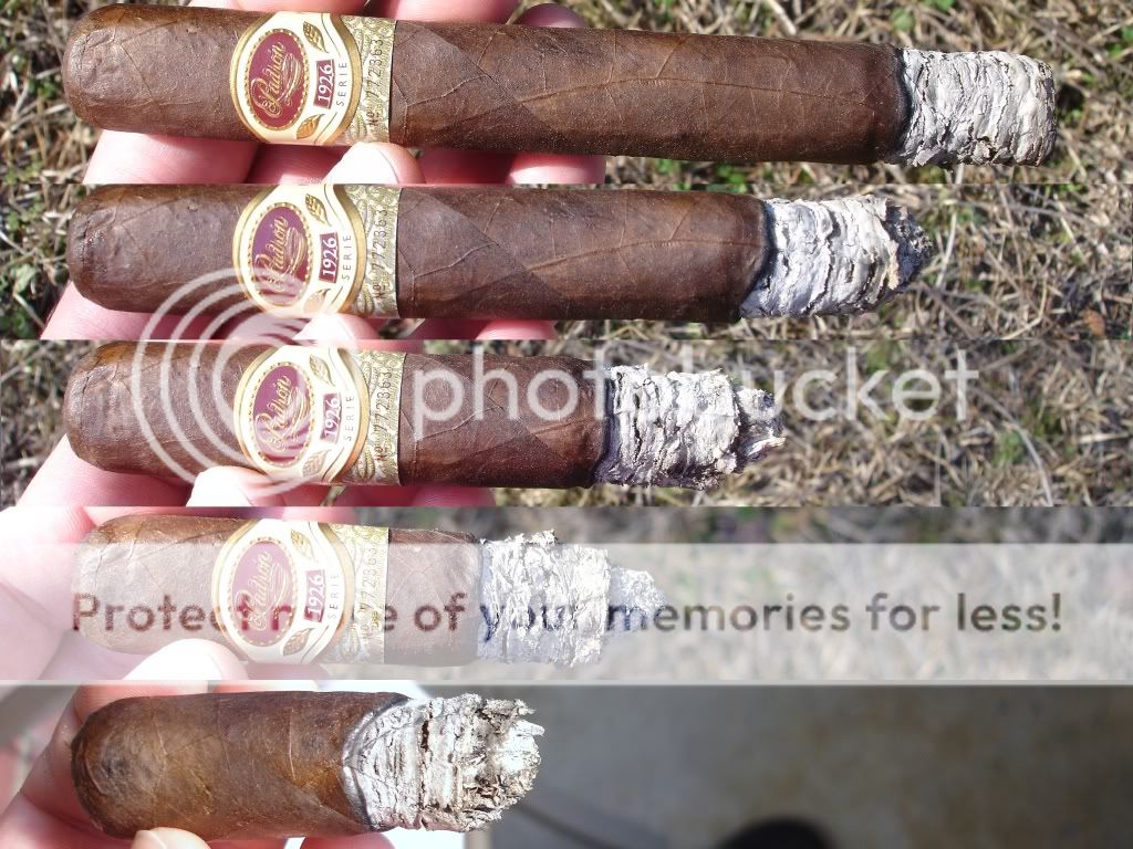 02-21-10Padron26No1002.jpg