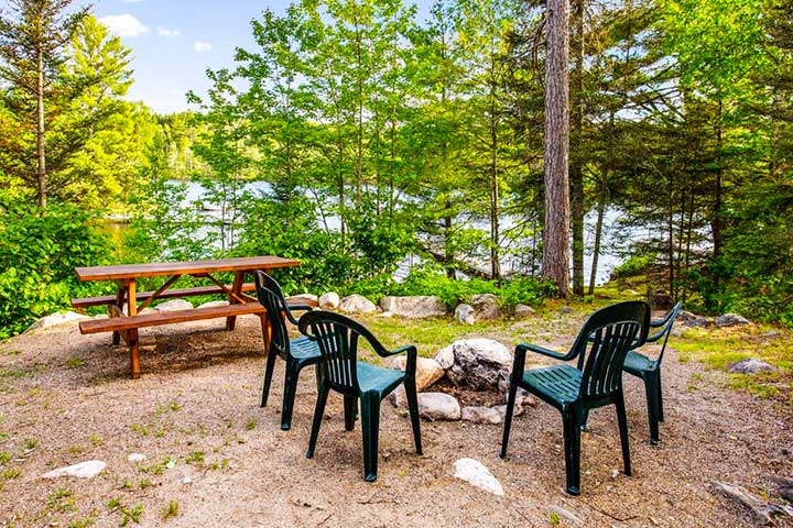 7Jackpine-1.jpg