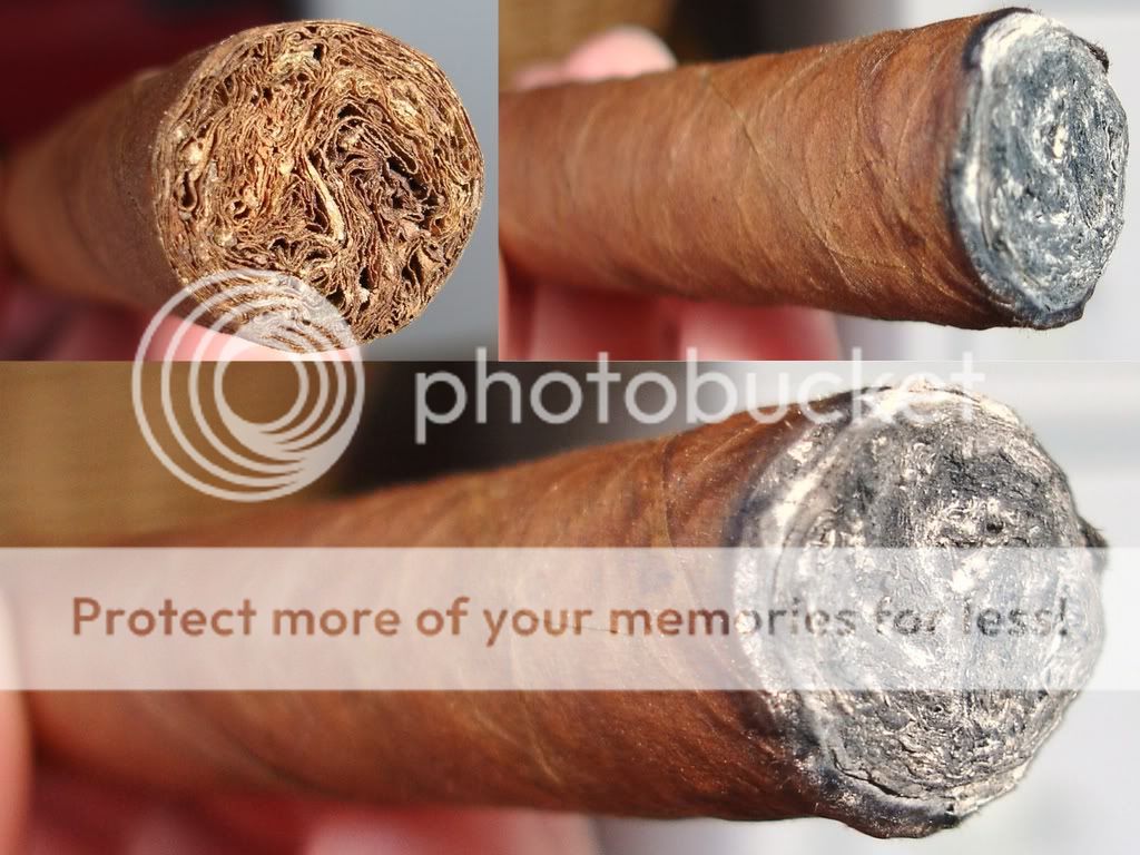 01-31-09Mokistick5002.jpg