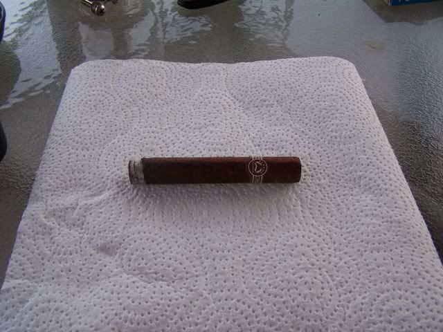 PluggedPadron001.jpg