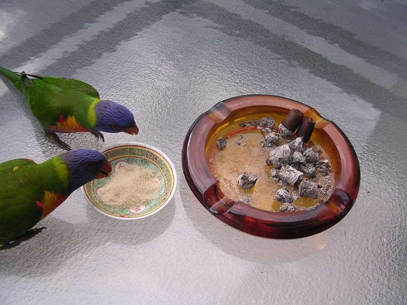 DSCN2764.jpg