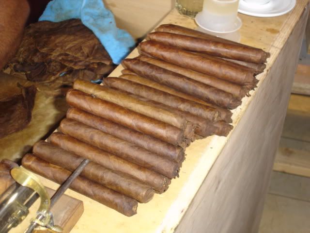 DSC00594.jpg