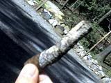 img039.jpg