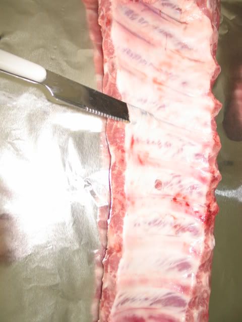 Ribs003.jpg