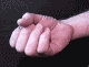 Hand1-vi.gif