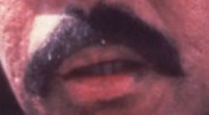 mustache5.jpg