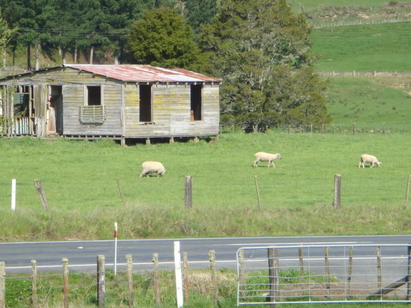 DSC00475.jpg