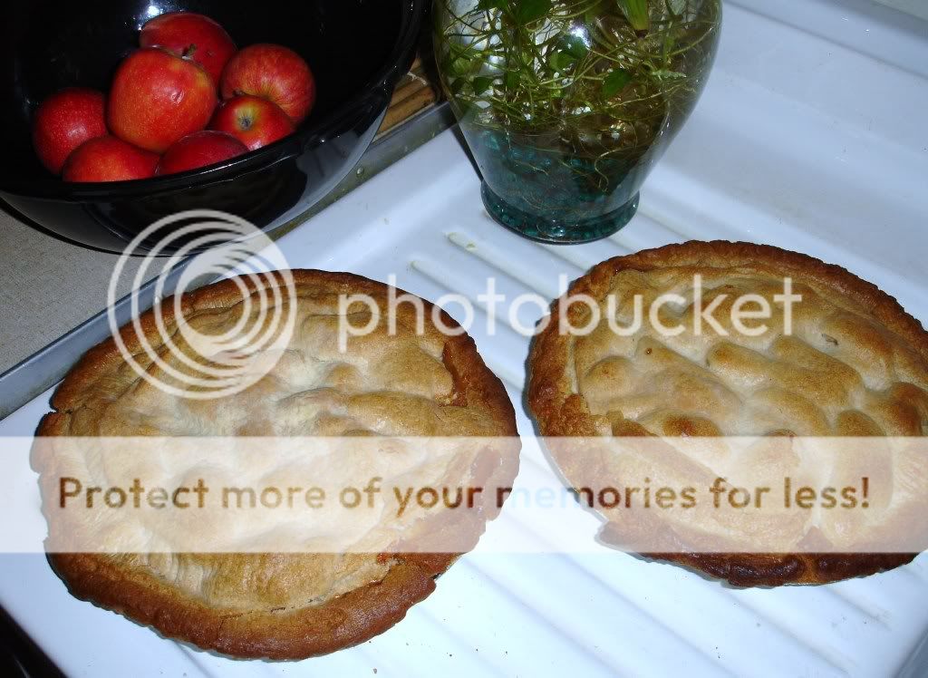 DSC01723.jpg