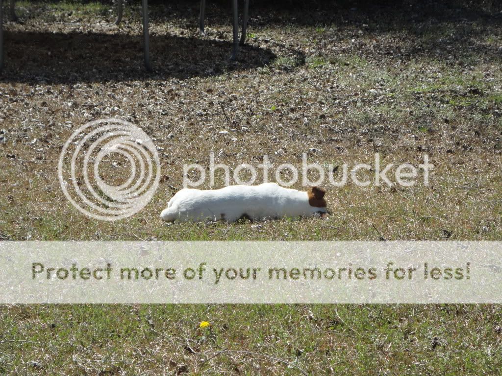 DSC00137.jpg