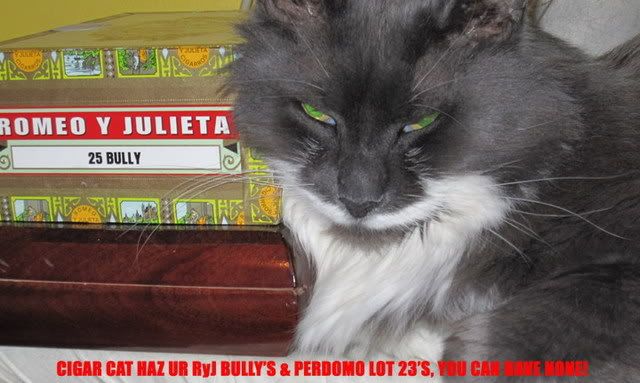 CIGARCAT.jpg