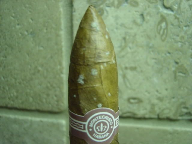 DSC04511.jpg