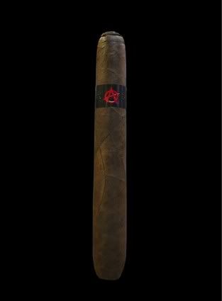 Tatuaje-Anarchy-5-313x425.jpg