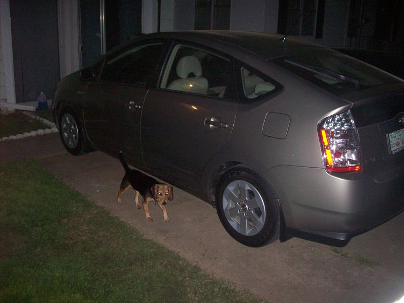 prius1.jpg