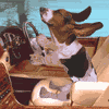avatar_9373.gif