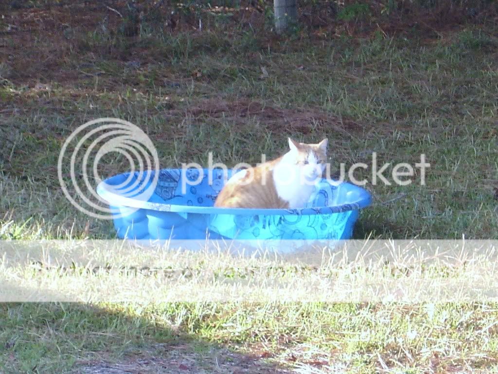 DSC01609.jpg