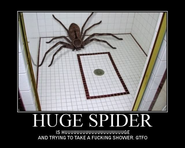 hugespider.jpg