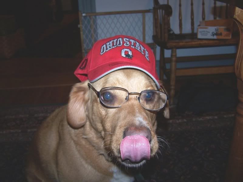 JimTressel1.jpg