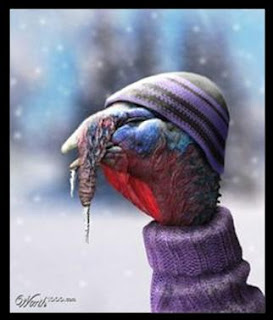 Cold+turkey.jpg