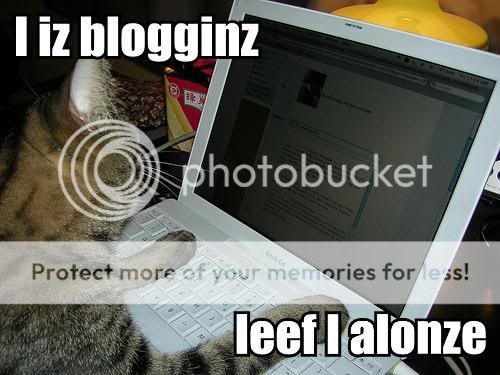 CatIIsBlogging.jpg