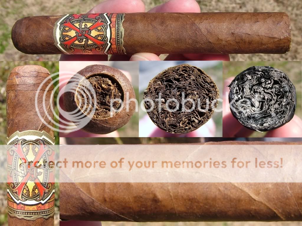 03-06-10OpusRobusto001.jpg