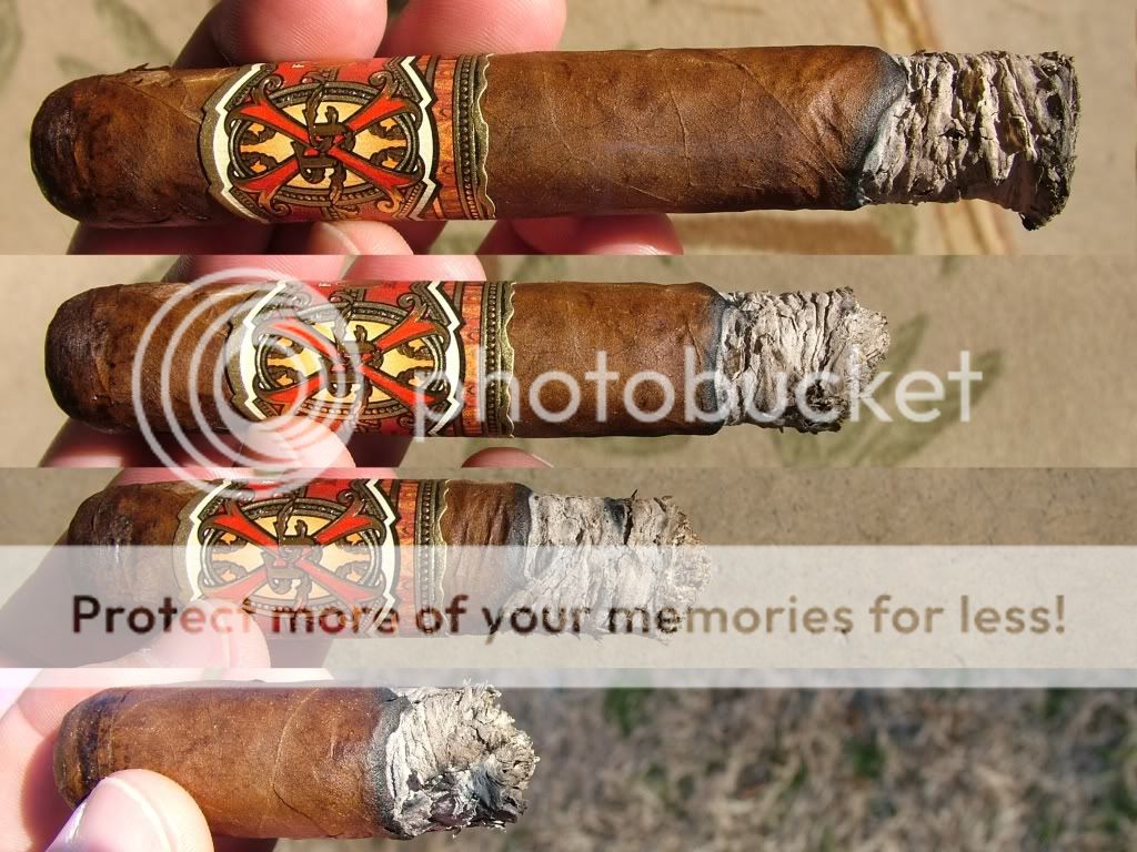 03-06-10OpusRobusto002.jpg