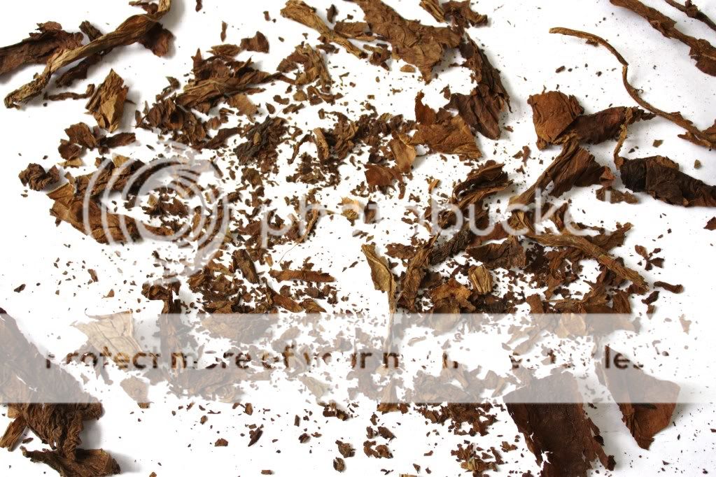 2ndcigarwhatfelloutofbinder-fill-1.jpg