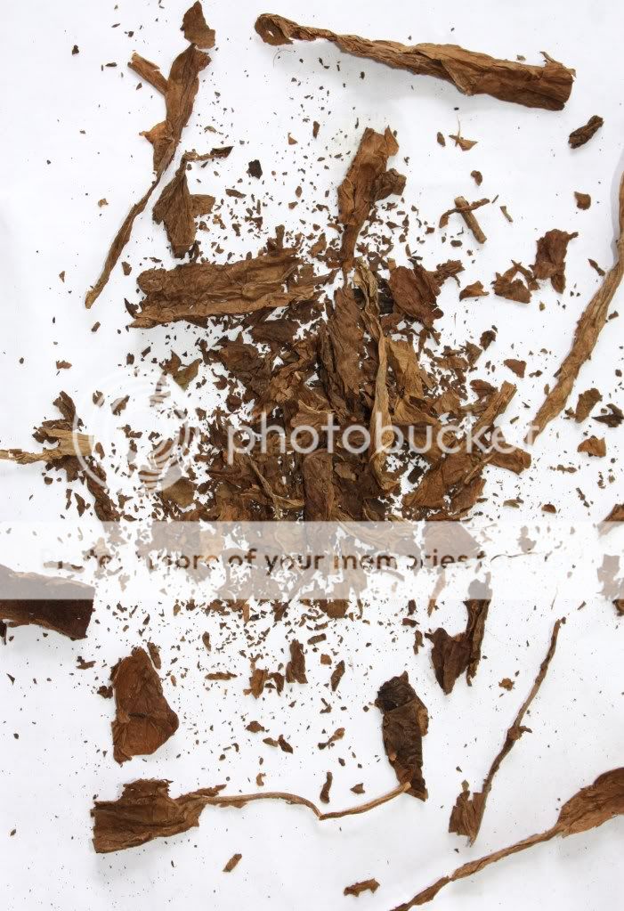 2ndcigarwhatfelloutofbinder-filler0.jpg