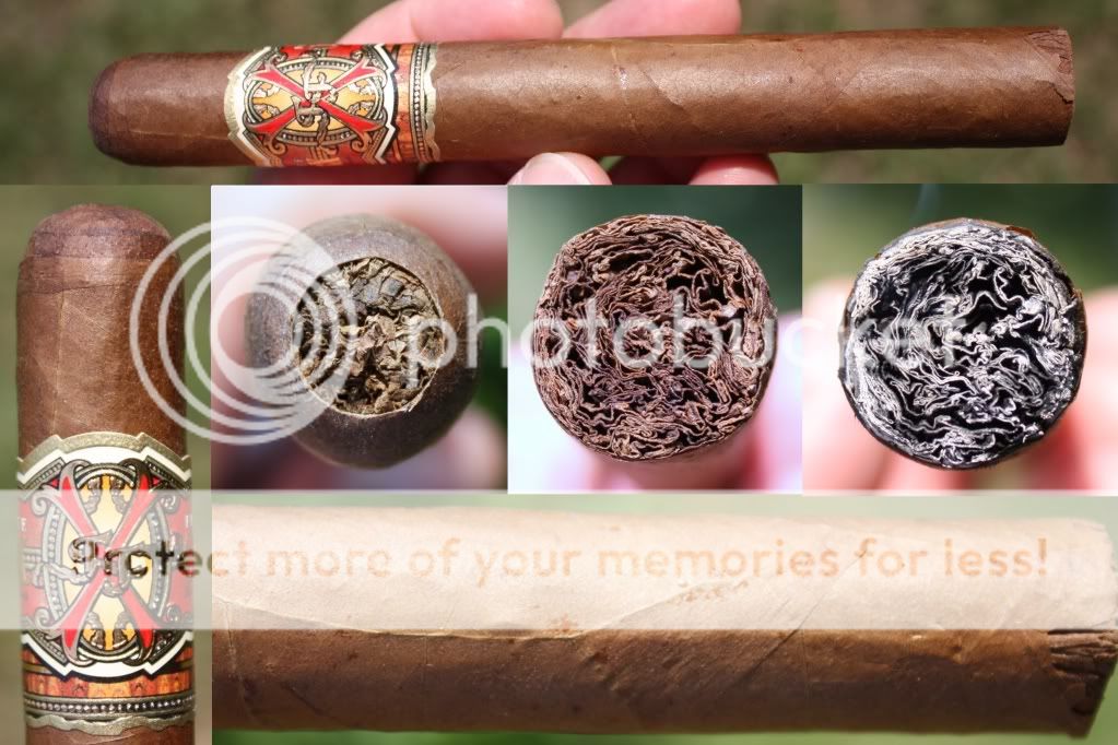 05-28-10OpusDblRob001.jpg
