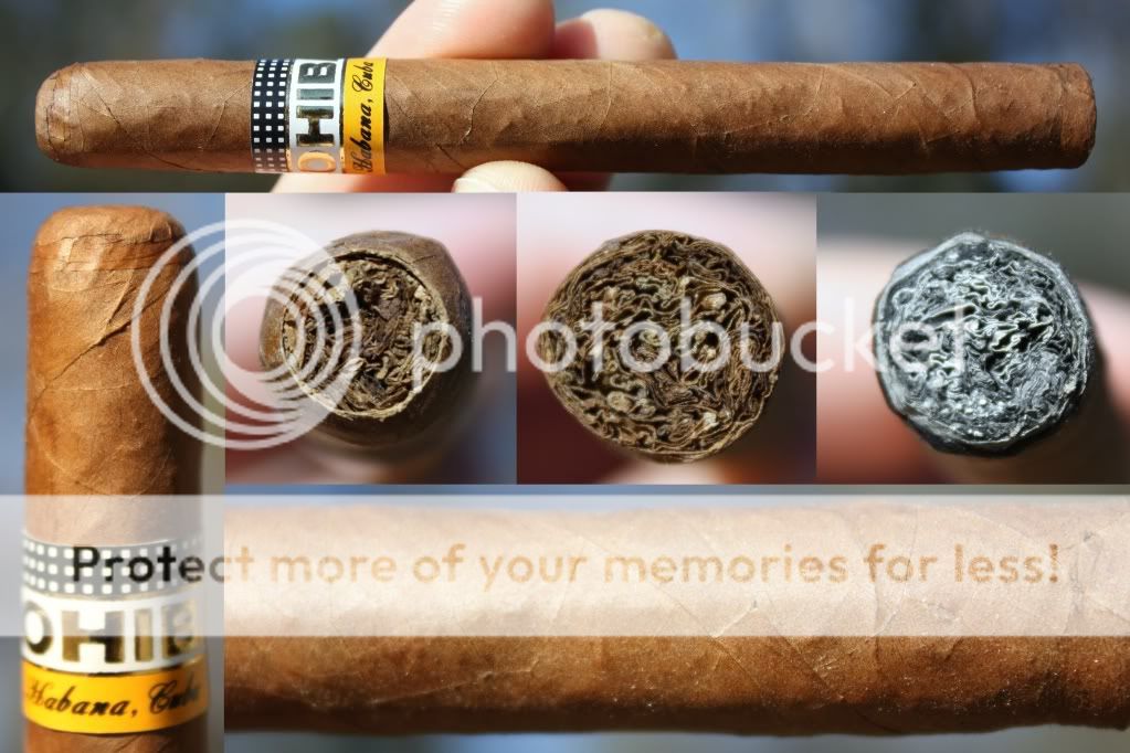 02-19-11CohibaExquisitos001.jpg
