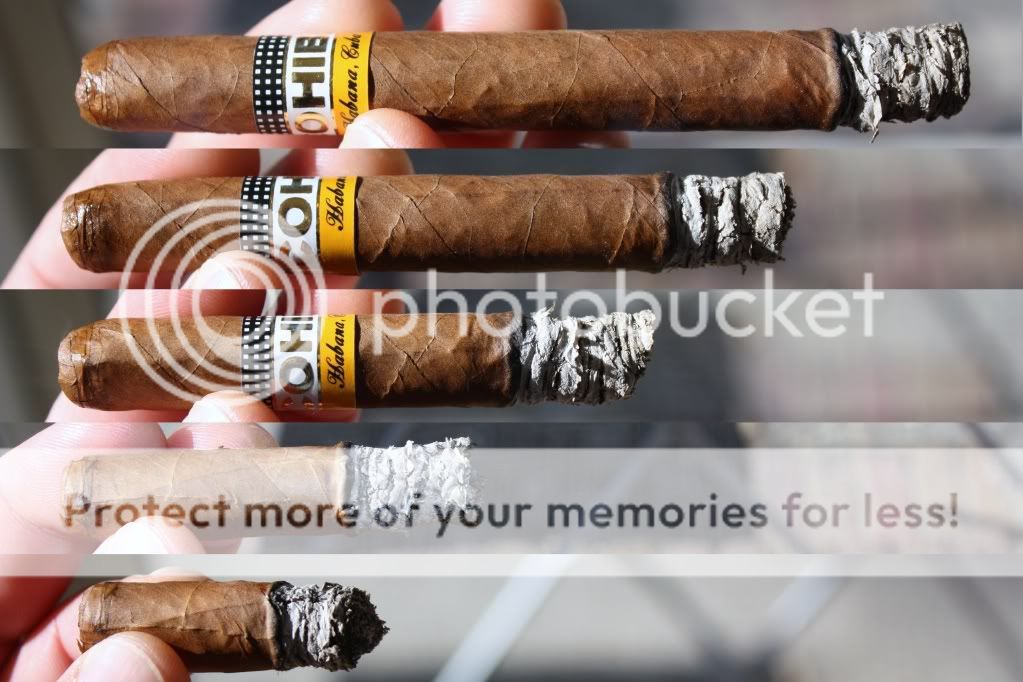 02-19-11CohibaExquisitos002.jpg