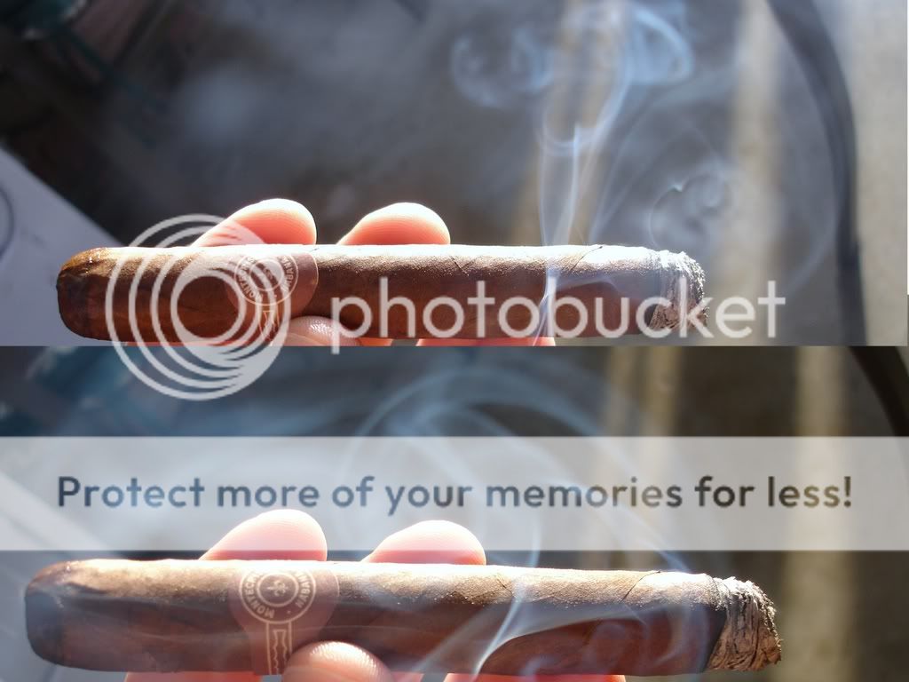 12-28-08MontecristoNo3004.jpg