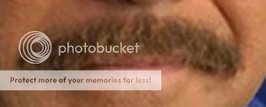 mustache1.jpg