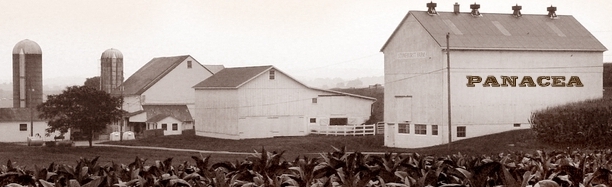 Barn_panacea_sepia_header.jpg